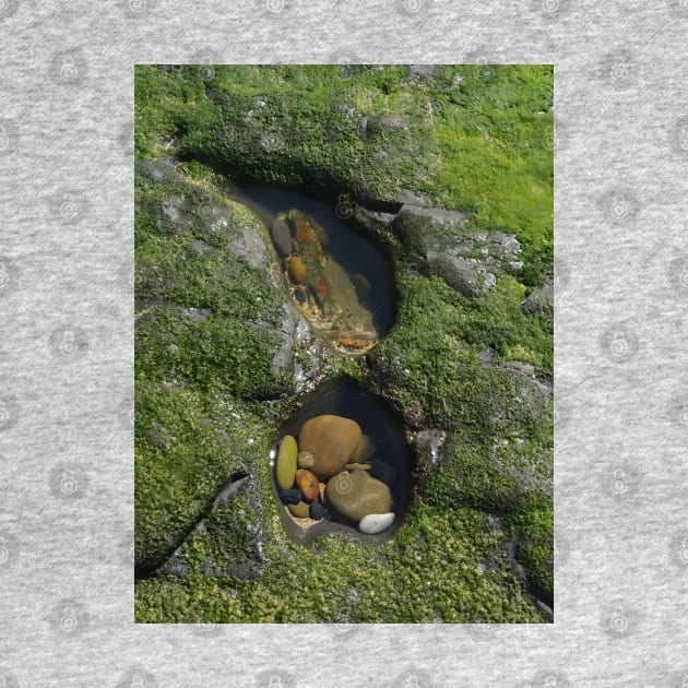 Two Rock Pools by Julie Vaux